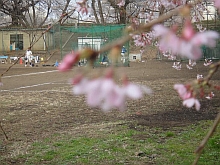 東大駒場グランド野球部