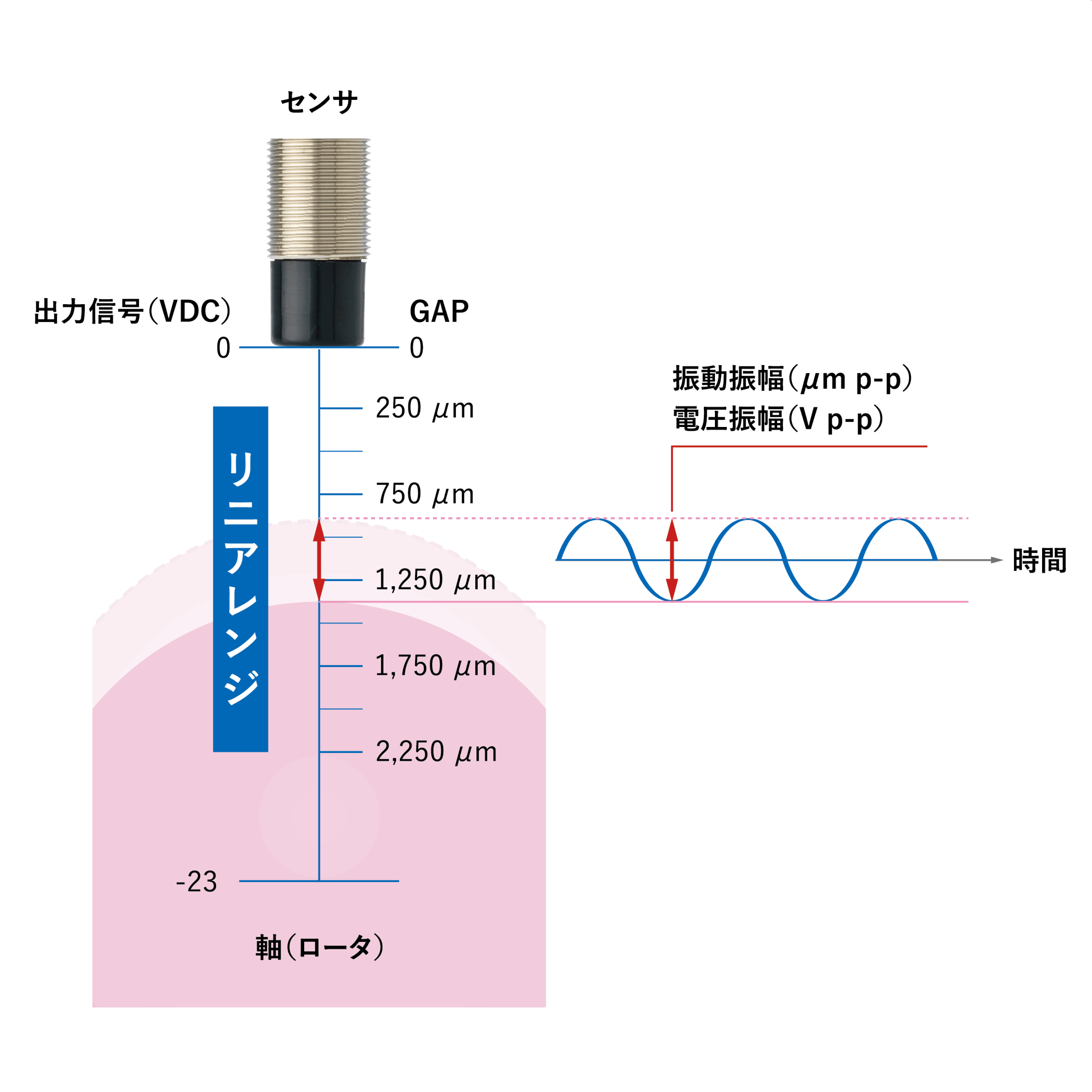 サンプル
