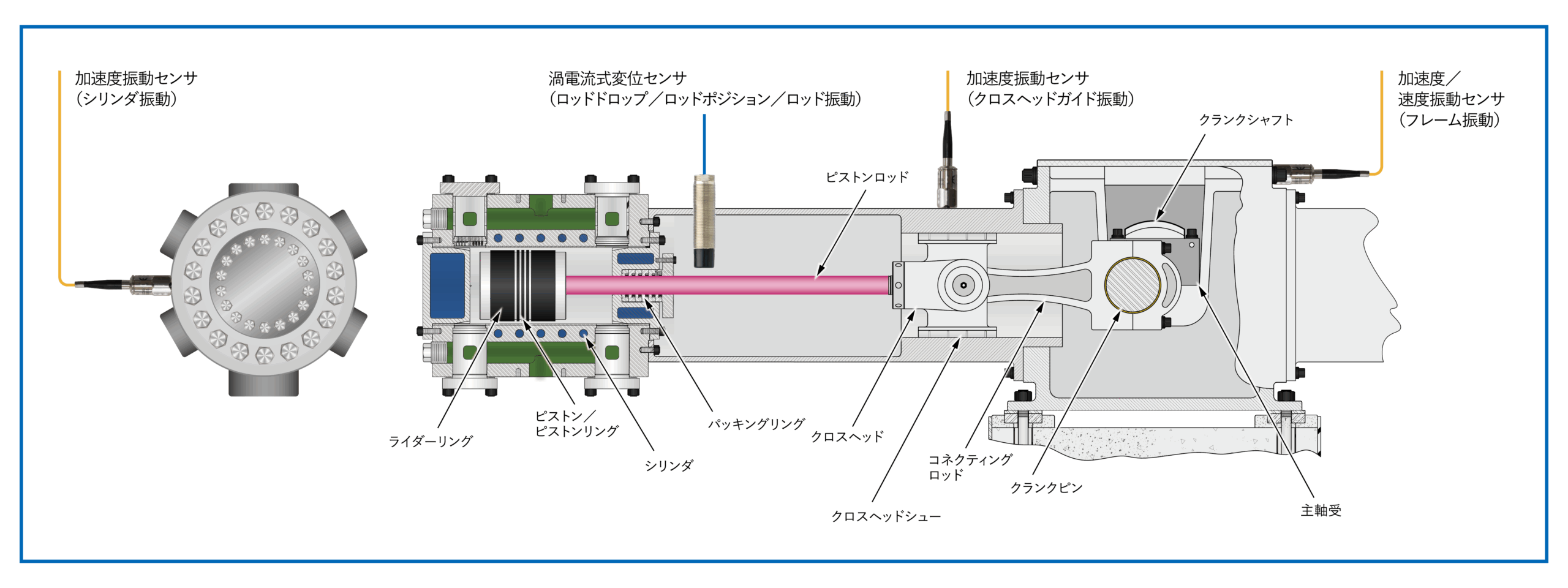 サンプル